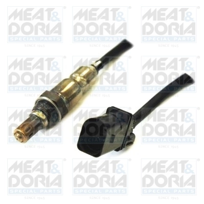 Oxygen Sensor